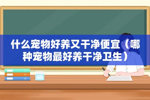 什么宠物好养又干净便宜（哪种宠物最好养干净卫生）