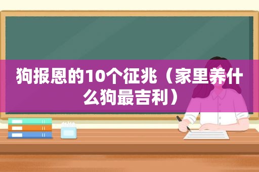 狗报恩的10个征兆（家里养什么狗最吉利）