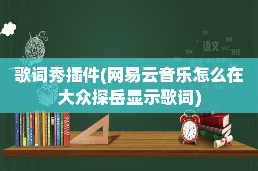 歌词秀插件(网易云音乐怎么在大众探岳显示歌词)