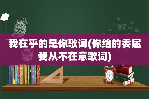 我在乎的是你歌词(你给的委屈我从不在意歌词)