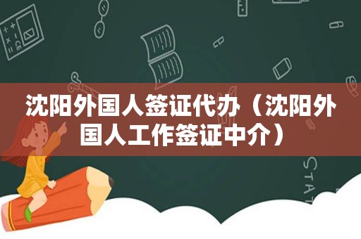 沈阳外国人签证代办（沈阳外国人工作签证中介）