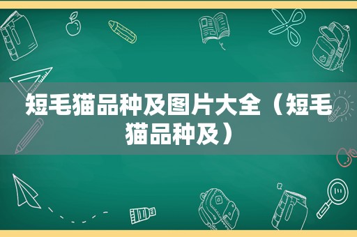 短毛猫品种及图片大全（短毛猫品种及）