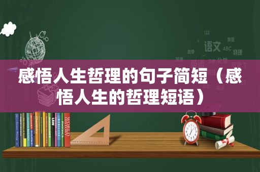 感悟人生哲理的句子简短（感悟人生的哲理短语）