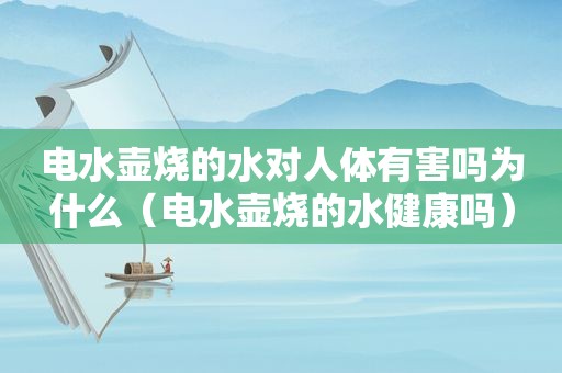 电水壶烧的水对人体有害吗为什么（电水壶烧的水健康吗）