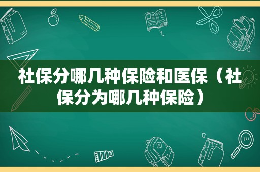 社保分哪几种保险和医保（社保分为哪几种保险）