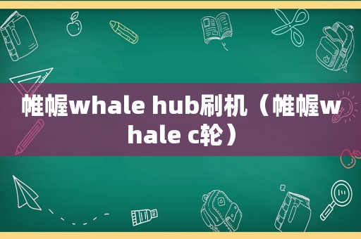 帷幄whale hub刷机（帷幄whale c轮）