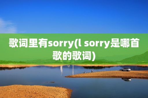 歌词里有sorry(l sorry是哪首歌的歌词)