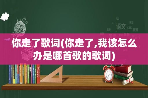 你走了歌词(你走了,我该怎么办是哪首歌的歌词)