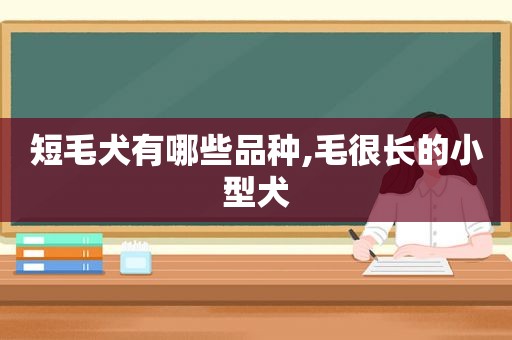 短毛犬有哪些品种,毛很长的小型犬