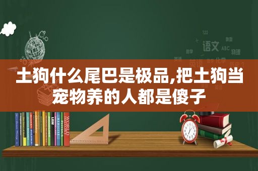 土狗什么尾巴是极品,把土狗当宠物养的人都是傻子