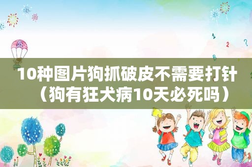 10种图片狗抓破皮不需要打针（狗有狂犬病10天必死吗）