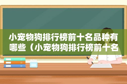 小宠物狗排行榜前十名品种有哪些（小宠物狗排行榜前十名品种）