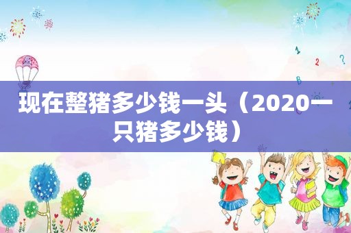 现在整猪多少钱一头（2020一只猪多少钱）