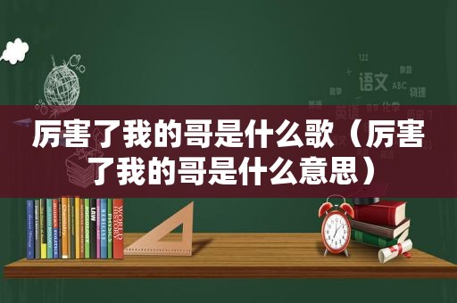 厉害了我的哥是什么歌（厉害了我的哥是什么意思）