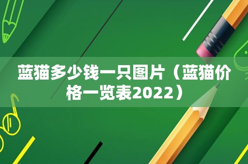 蓝猫多少钱一只图片（蓝猫价格一览表2022）