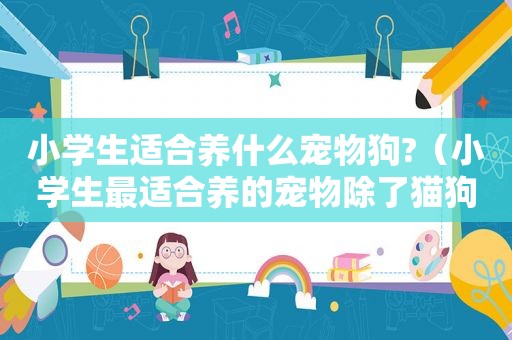 小学生适合养什么宠物狗?（小学生最适合养的宠物除了猫狗）