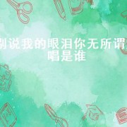 别说我的眼泪你无所谓原唱是谁（别说我无所谓原唱是谁）