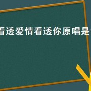 看透爱情看透你原唱是谁（看透爱情看透你原唱）