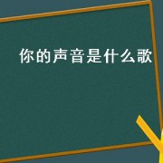 你的声音是什么歌