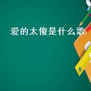 爱的太傻是什么歌（爱得太傻歌曲）