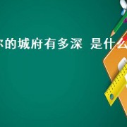 你的城府有多深 是什么歌
