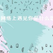 网络上遇见你是什么歌（哪些歌有遇见你）