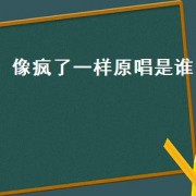 像疯了一样原唱是谁（像疯了一样谁唱得好听）