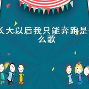 长大以后我只能奔跑是什么歌