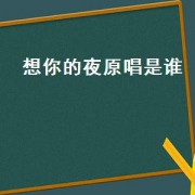 想你的夜原唱是谁（想你的夜原唱是谁唱的）