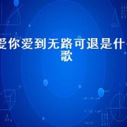 爱你爱到无路可退是什么歌