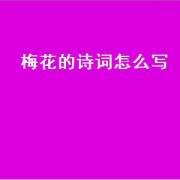 梅花的诗词怎么写（梅花诗词十首赏析）