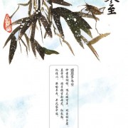 漳州诗人写的诗词（漳州诗人写的诗词1至2首）
