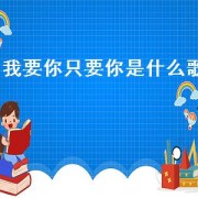 我要你只要你是什么歌