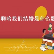 啊哈我们结婚是什么歌（我们结婚吧这个歌名叫啥）