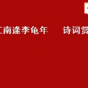 江南逢李龟年   诗词赏析