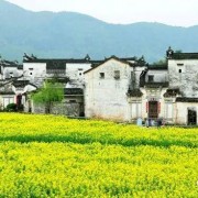 关于山水风光的古诗词（山水意境优美的古诗词）