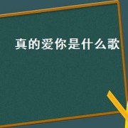 真的爱你是什么歌（真的爱你是什么流行歌曲）