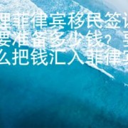 办理菲律宾移民签证需要准备多少钱？要怎么把钱汇入菲律宾银行？