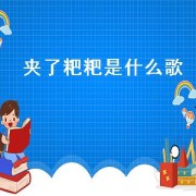 夹了粑粑是什么歌.txt