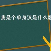 我是个单身汉是什么歌