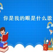 你是我的眼是什么歌