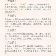 含钟字的诗句有哪些
