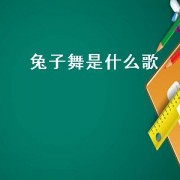 兔子舞是什么歌（gogogo兔子舞的歌叫什么）