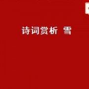 诗词赏析 雪