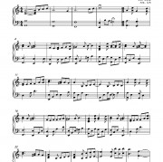 阳光雨的歌词歌谱,阳光雨的简谱吉他谱