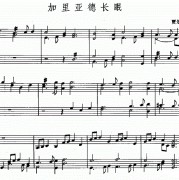 一个人的情人节歌词，歌谱，简谱，吉他谱
