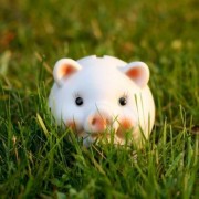 嫦娥的诗句意思（中秋节嫦娥诗句）