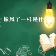 像风了一样是什么歌
