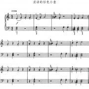 快乐神仙的歌词歌谱，快乐神仙的简谱吉他谱