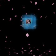 ❤520情人节送女朋友的生日礼物~html+css+js实现抖音炫酷樱花3D相册(含音乐)